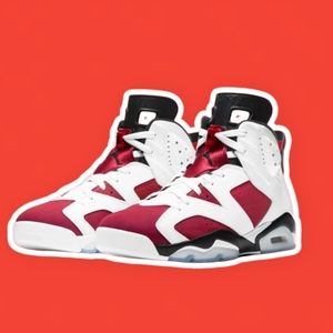 Jordan 6's ( Carmine ) 